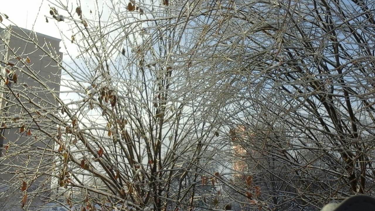 По Тверской области вновь пройдет ледяной дождь