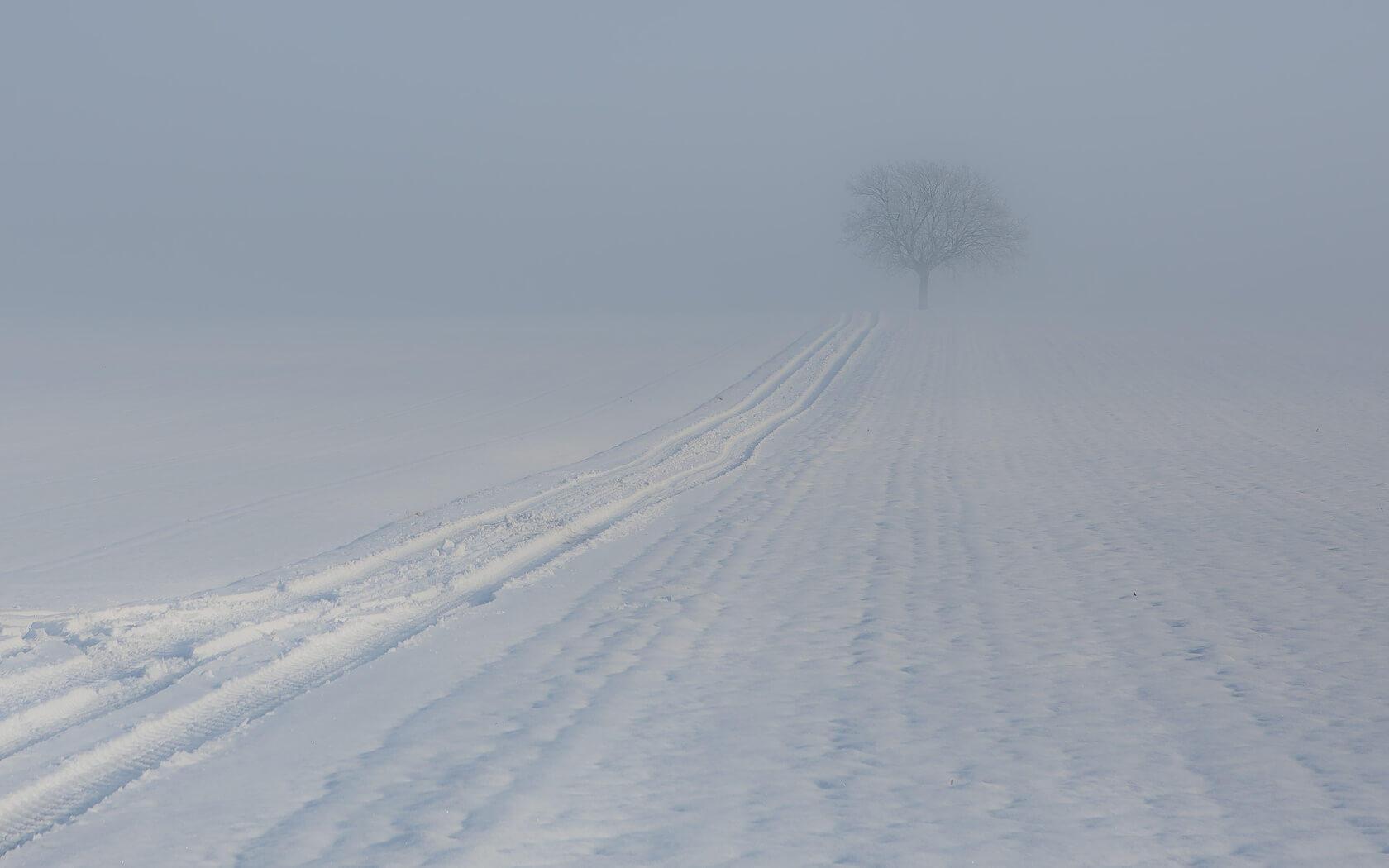 В отдельных районах Тверской области ожидается сильный туман