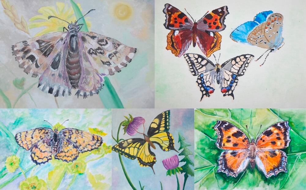 Мир бабочек рисунок. Детские рисунки бабочек. Рисунок на тему бабочка. Бабочка для детей с глазами. Рисование на тему бабочка.