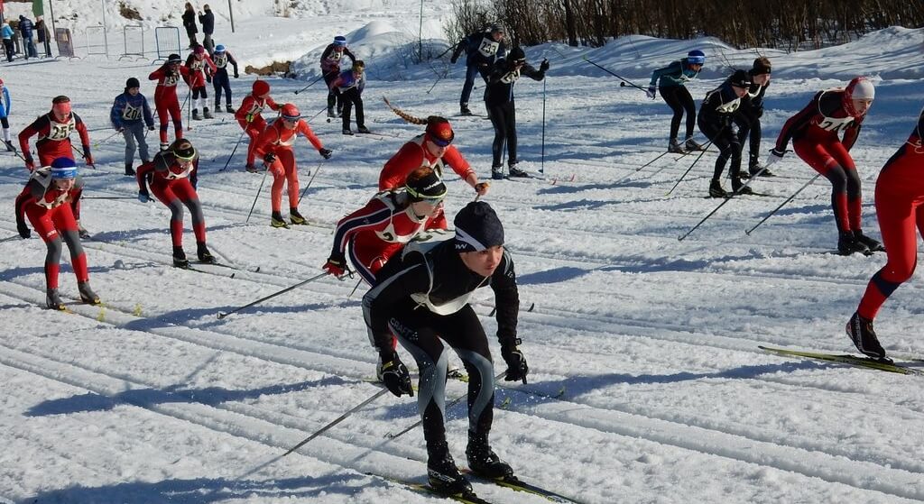 Под Тверью пройдет лыжный марафон на приз Николая Липашова