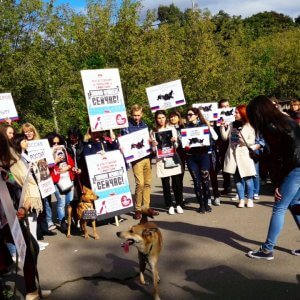 фото В Твери прошёл митинг в поддержку принятия закона о защите животных