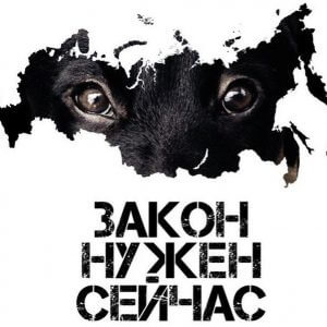фото Тверь присоединится к Всероссийскому митингу в поддержку принятия закона о защите животных