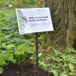фото В Ботаническом саду ТвГУ появилось дерево в память о героях-вагоностроителях