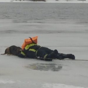 фото В Кимрах спасатели вытащили собаку из воды