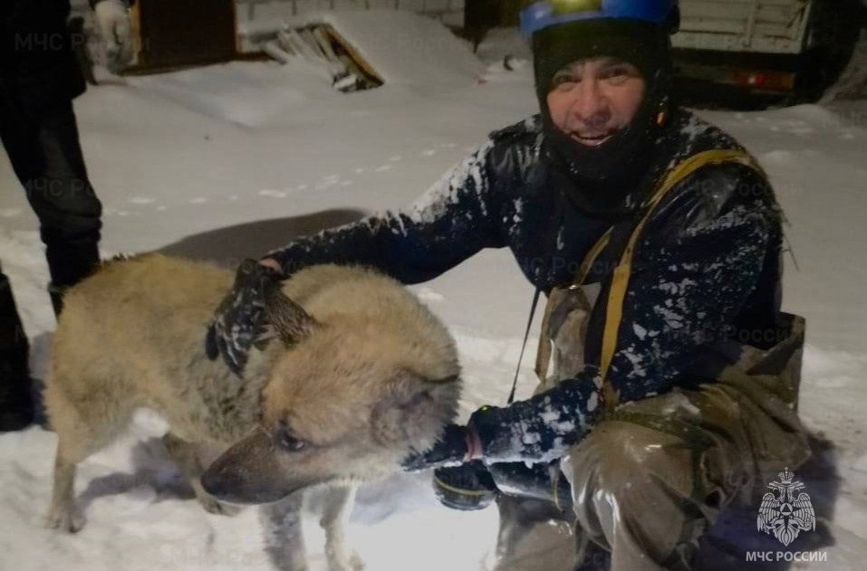 В Твери спасли собаку, провалившуюся в канализационный колодец