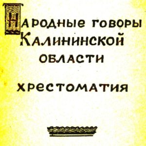 скачать книгу Народные говоры Калининской области