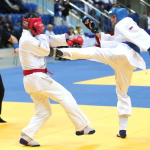 фото Рукопашный бой: универсальная система подготовки бойца