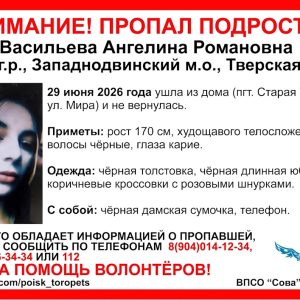фото Девушка-подросток пропала в Западнодвинском м.о. [Найдена, жива]