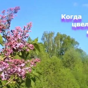 фото Детская видеостудия из Тверской области одержала победу на международном конкурсе подростковых медиаработ